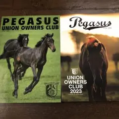一口馬主)ユニオンオーナーズクラブ 募集馬2023、2022