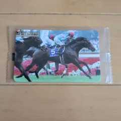 まねき馬 レギュラーカード J-201 インディチャンプ 未開封