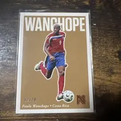 완초페 2017 Panini Nobility 20장 한정