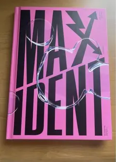 MAXIDENT StrayKids アルバム