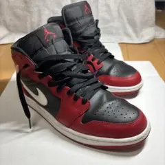 Nike Air Jordan Alpha 1 BRDE US8 - メルカリ