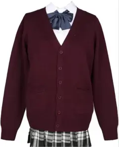 スクールカーディガン 女子制服 高校生 スクールセーター Vネック学生 通学XL