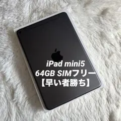 【完動品】iPad mini5 64GB SIMフリー 【すぐ発送】【付属品】