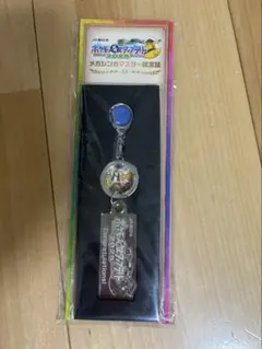 ポケモンメガスタンプラリー2025メガシンカマスター認定証