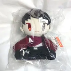 スーパーダンガンロンパ2 タイトーくじ B賞 罪木蜜柑 ぬいぐるみ