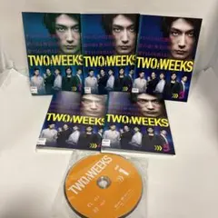 DVD TWO WEEKS 全5枚 全巻セット 三浦春馬 芳根京子 比嘉愛未 - メルカリ