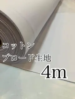 Item thumbnail for item d5970a93-f21e-4451-8d16-3a333209b2d6