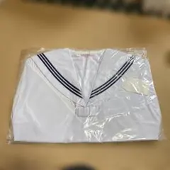 Item thumbnail for item b7e117b6-5f16-450c-ae35-b1713bbe95de