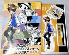 リボーン　REBORN　アクリルフィギュア&チャームコレクション　沢田綱吉　ツナ