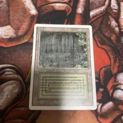 Bayou 3ed リバイズド　revised 3版白枠　バイユー　バイウー