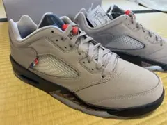 31㎝ 新品 AIR JORDAN 5 RETRO PSG DX6325-204