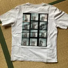 ユニクUT cat ネコ Tシャツ　ライトグレー　L 半袖　写真　刺繍　フィルム
