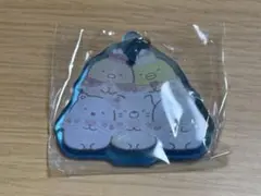 サンエックスユニバース ぷっくりクリアマーカーアクセサリー すみっコぐらしのサムネイル