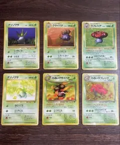 旧裏】 わるいラフレシア・ラフレシア・モルフォン 3枚セット
