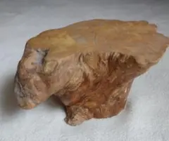 Item thumbnail for item aaeaebef-23af-4ad2-a9c8-0fd5e9741fad