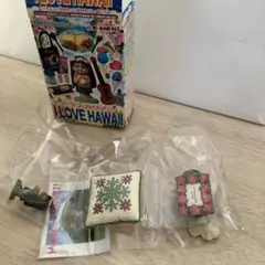 I LOVE HAWAII ミニチュアコレクション　リーメント アイ・ラブ・ハワイ：商品案内 | 株式会社リーメント