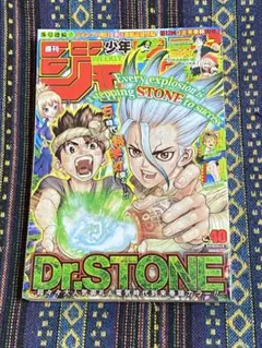 週刊少年ジャンプ 2020年48号 表紙 Dr.STONE かなりの折れあり - メルカリ
