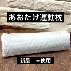 2026年最新】あおたけ運動枕の人気アイテム - メルカリ