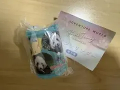 アドベンチャーワールド　パンダ コインシリンダー