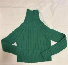 SHEIN ハイネックセーター クロップド丈　グリーン