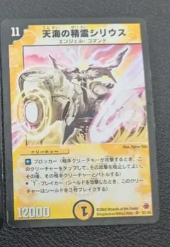 デュエルマスターズ