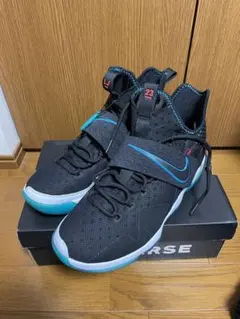 NIKE LeBron 14 “RED CARPET“ 28.5cm