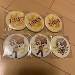 カラフルピーチ　たっつん　初期　缶バッジ　6点