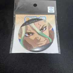 Dr.STONE 石神千空 缶バッジ 場面写イラスト