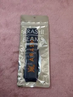 Item thumbnail for item 3fbc39ec-ca2b-4083-b00a-f14d9453a80d