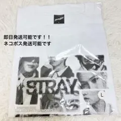 StrayKids スキズ RUN IT ポップアップ Tシャツ 白 Mサイズ - メルカリ