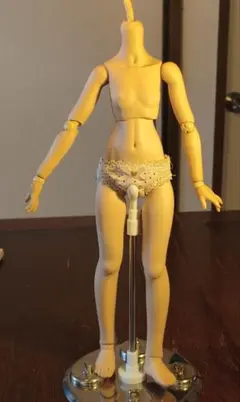 カスタムドール本体 約40cm 可動式MDD ベースボディかなと？