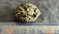 2026年最新】オパール宝坂の人気アイテム - メルカリ