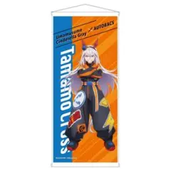 シンデレラグレイ オートバックス コラボ BIGタペストリー 