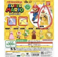 スイカの種様 リクエスト 2点 まとめ商品