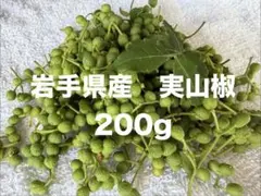 K天然 山椒の実 200g採りたて 青森産 ☆柔らかいです♪ - メルカリ