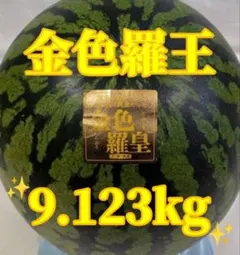 7/26迄！高糖度！新潟県産ブランドスイカ 3L サイズ 秀品 農家直送