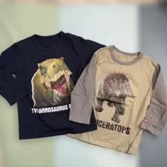 シュライヒ 恐竜 七分袖 130 ティラノサウルス トリケラトプス 2点セット