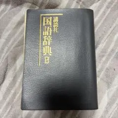 講談社 国語辞典 新版のサムネイル