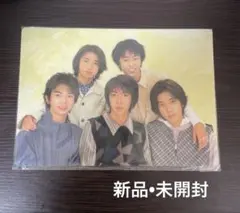 【新品】嵐 99年 特急投球コンサート 東京ドームに大集合!! 集合 下敷き