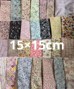 Item thumbnail for item 4d924e12-18f6-4963-aef6-1a06d8e51f23