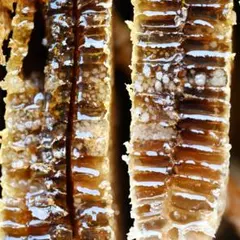 Item thumbnail for item 7968f6c6-f0d1-45df-b5de-9e3397867254