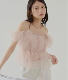 PAMEO POSE Harpy Topシースルー シアートップス パープル - メルカリ
