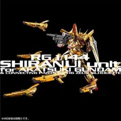 rg デスティニーガンダム　完成品 Amazon.co.jp: BANDAI RG Destiny Gundam [Titanium Finish] 1