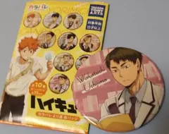 Item thumbnail for item b7f3a316-b35b-43ea-af65-1369d8533847