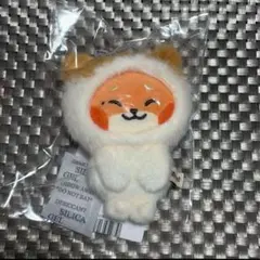 テュニニ メテュ マシュー マグネットフォトホルダー zeroni ゼロニ