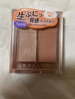 CEZANNE ハイライトパウダー 01 アプリコットグロウ