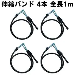 Item thumbnail for item 2f081534-e6a9-453c-81a6-bcf4cf977f2c