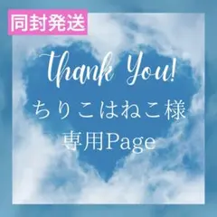 ちりこはねこ様＊専用　＊同封発送＊