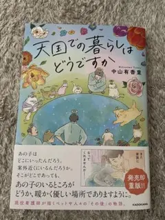 マロンチョコ様 リクエスト 2点 まとめ商品