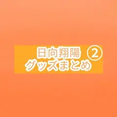 ハイキュー！！　日向翔陽　グッズまとめ売り②
